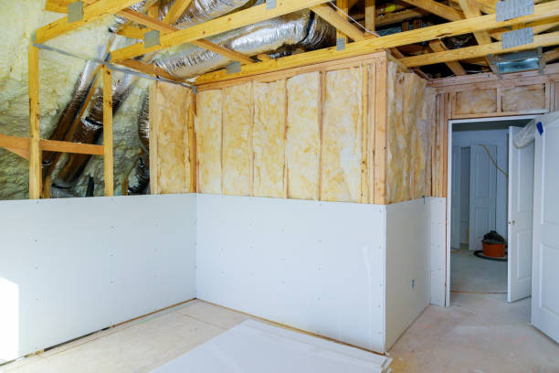 Trusted Cass City, MI Insulation Contractor Experts