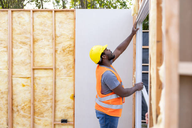 Best Insulation for New Construction  in Cass City, MI